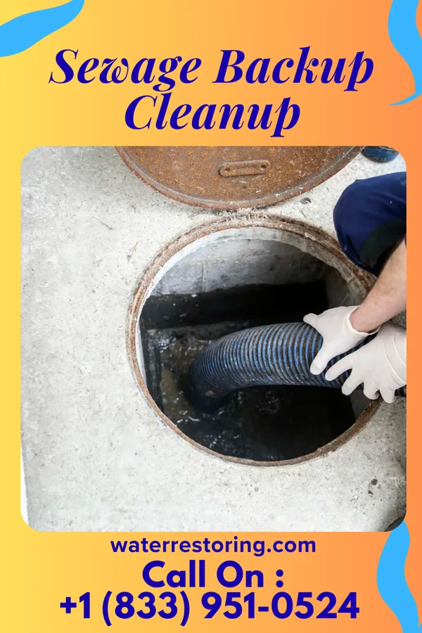 Sewage Backup Cleanup in Cannondale, CT